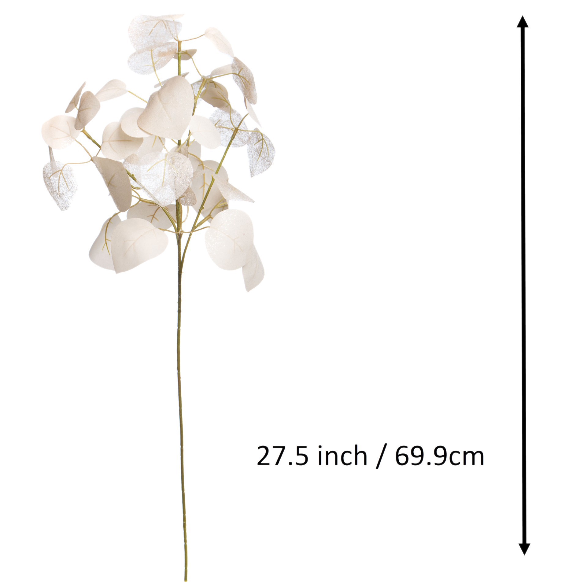 slide 3 of 3, 27.5" Cream Eucalyptus Stem By Ashland, 27.5 in