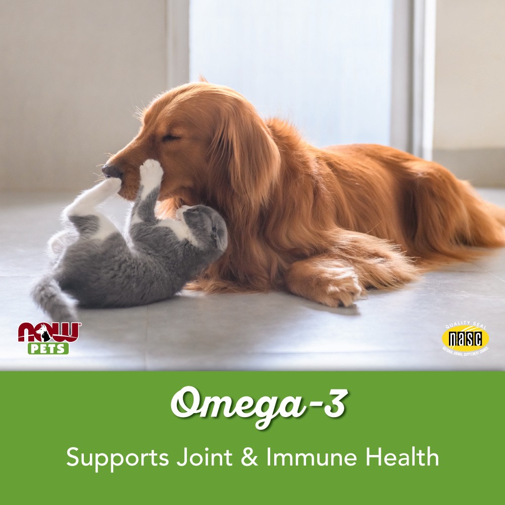slide 3 of 5, NOW Omega-3 Support - 180 Softgels for Pets, 180 ct