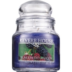 slide 1 of 1, Revere House Candle Blackberry Woods, 3 oz