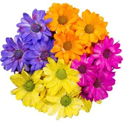 BLOOMS by H-E-B 4 Stem Painted Poms