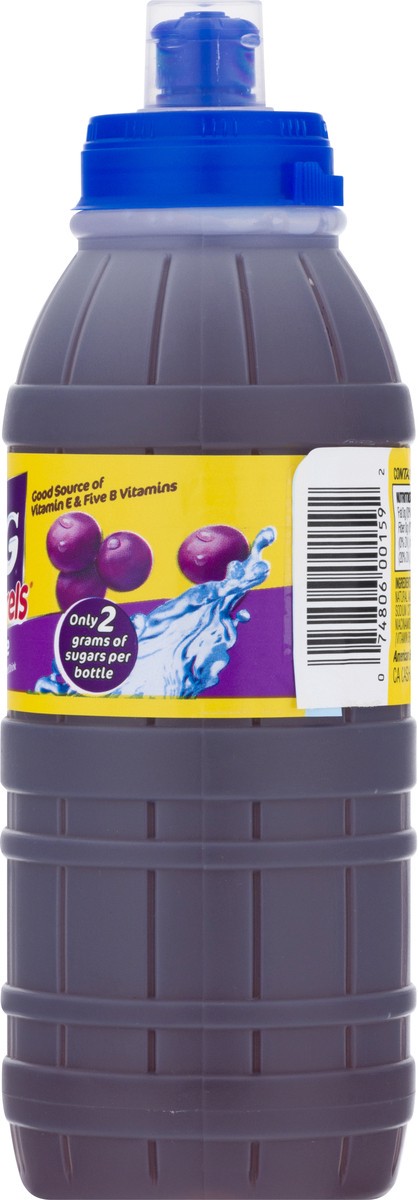 Big Hug Fruit Barrels Grape Fruit Drink 16 oz 16 oz | Shipt