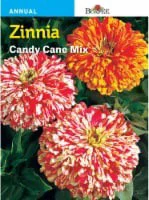 Burpee Zinnia Candy Cane Seeds Mix - Multi-Color