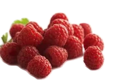 Fresh Kampo Organic Red Raspberries