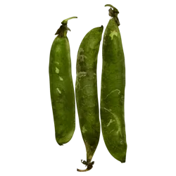 English Green Peas