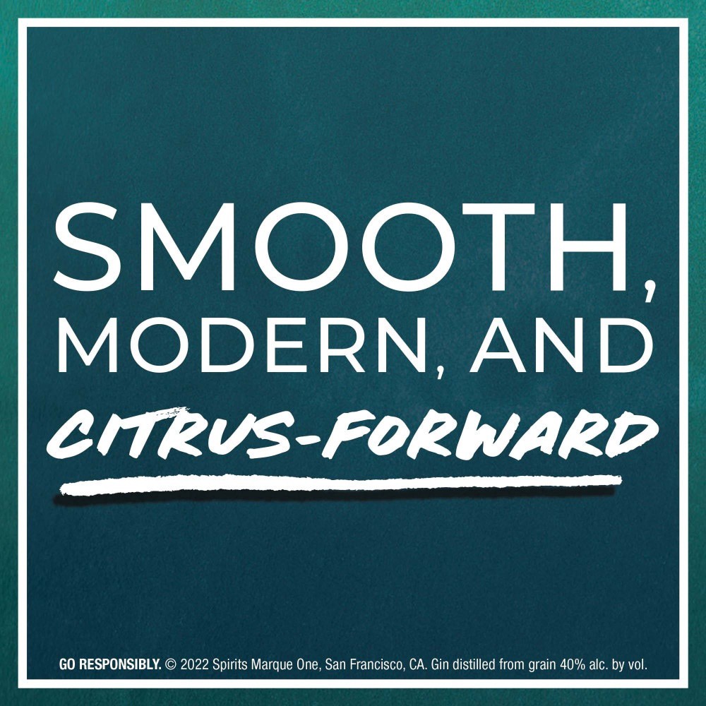 slide 6 of 6, SVEDKA Modern Style Gin, 750 mL Bottle, 80 Proof, 25.35 fl. oz