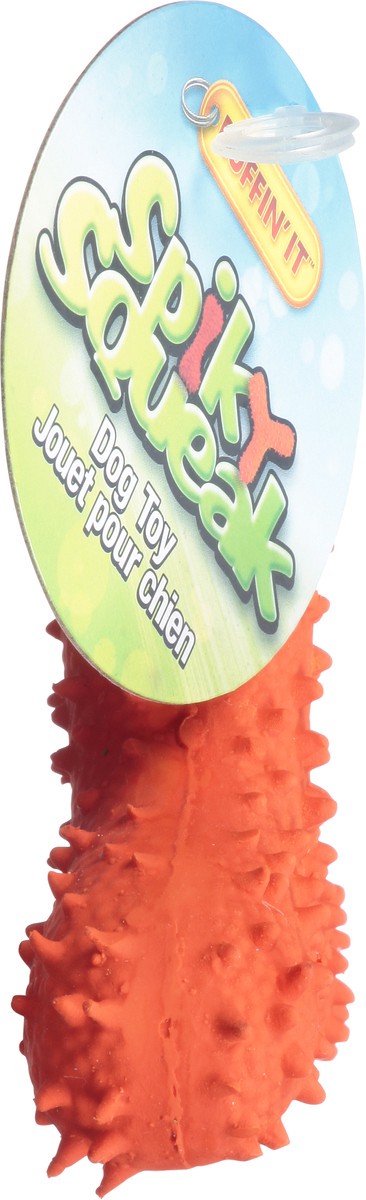 slide 10 of 12, Ruffin' It Spiky Dog Squeakers, 1 ct