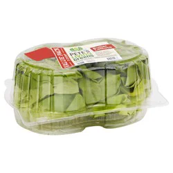 Butter Lettuce 3 Pack