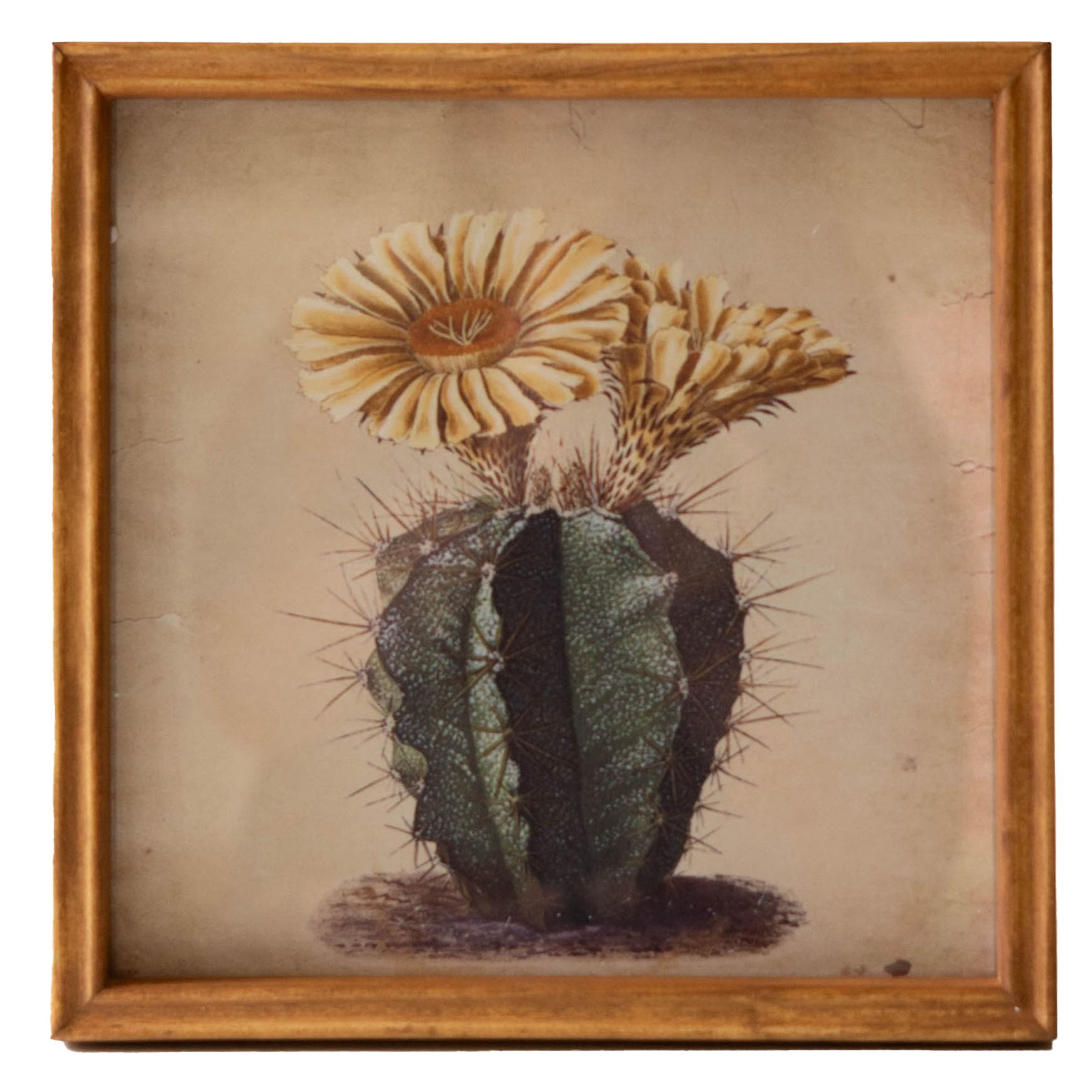 slide 1 of 1, Kalalou Yellow Flower Cactus Wall Art, 8 in x 10 in