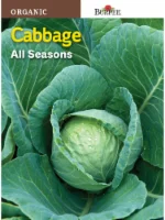 Burpee Cabbage All Seasons