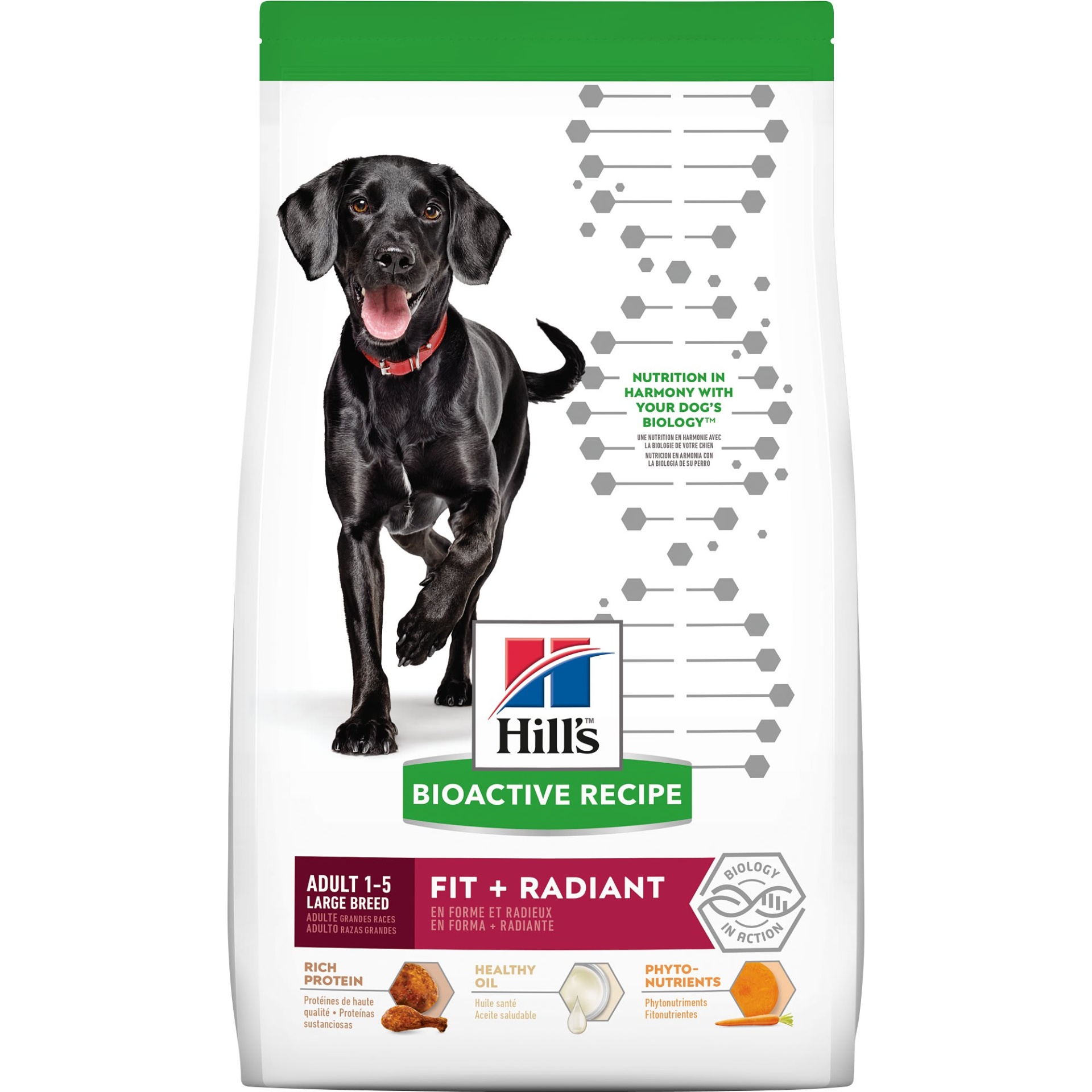 slide 1 of 1, Hill's Bioactive Recipe Fit + Radiant Chicken & Barley Adult Large Breed Dry Dog Food, 22.5 lb