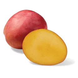 Fresh Cherry Mango