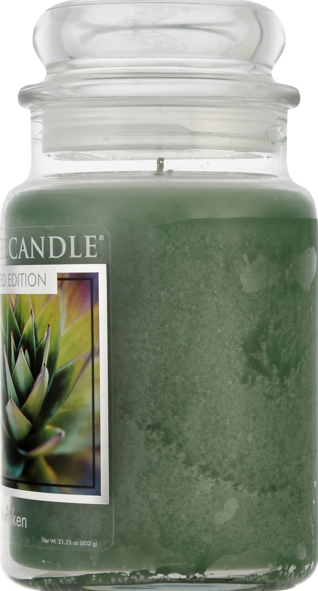slide 8 of 11, Village Candle Spa Jar Candle Awaken, 1 ct