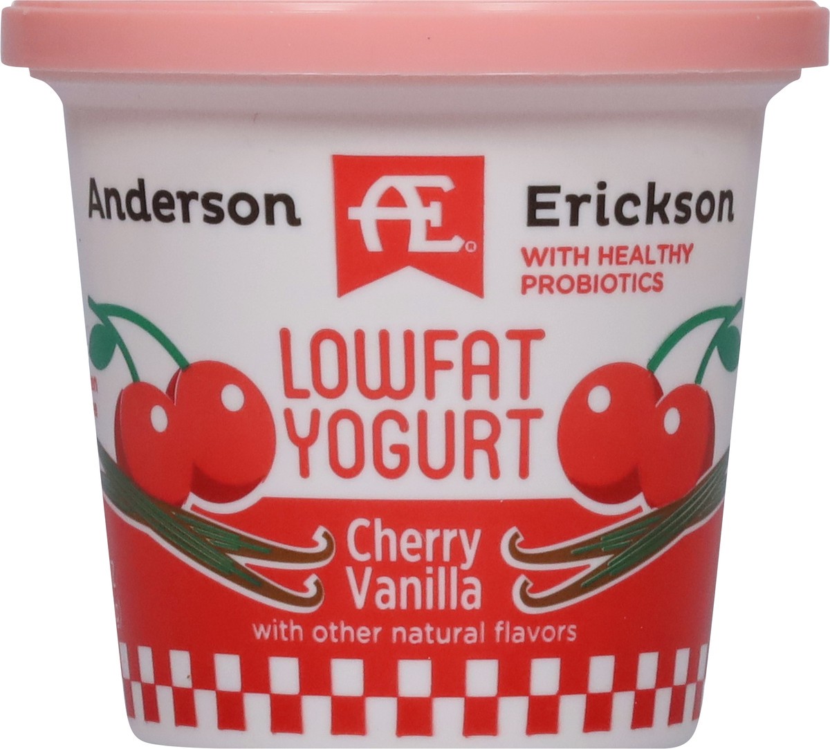 slide 5 of 11, Anderson Erickson Dairy Lowfat Cherry Vanilla Yogurt 6 oz, 6 oz