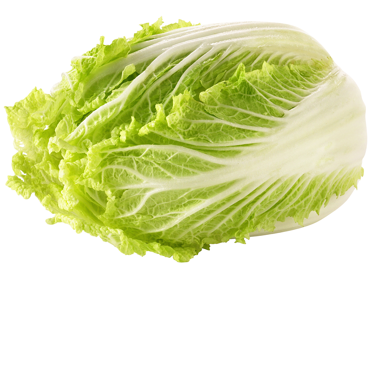 slide 1 of 1, Napa Cabbage, 1 ct