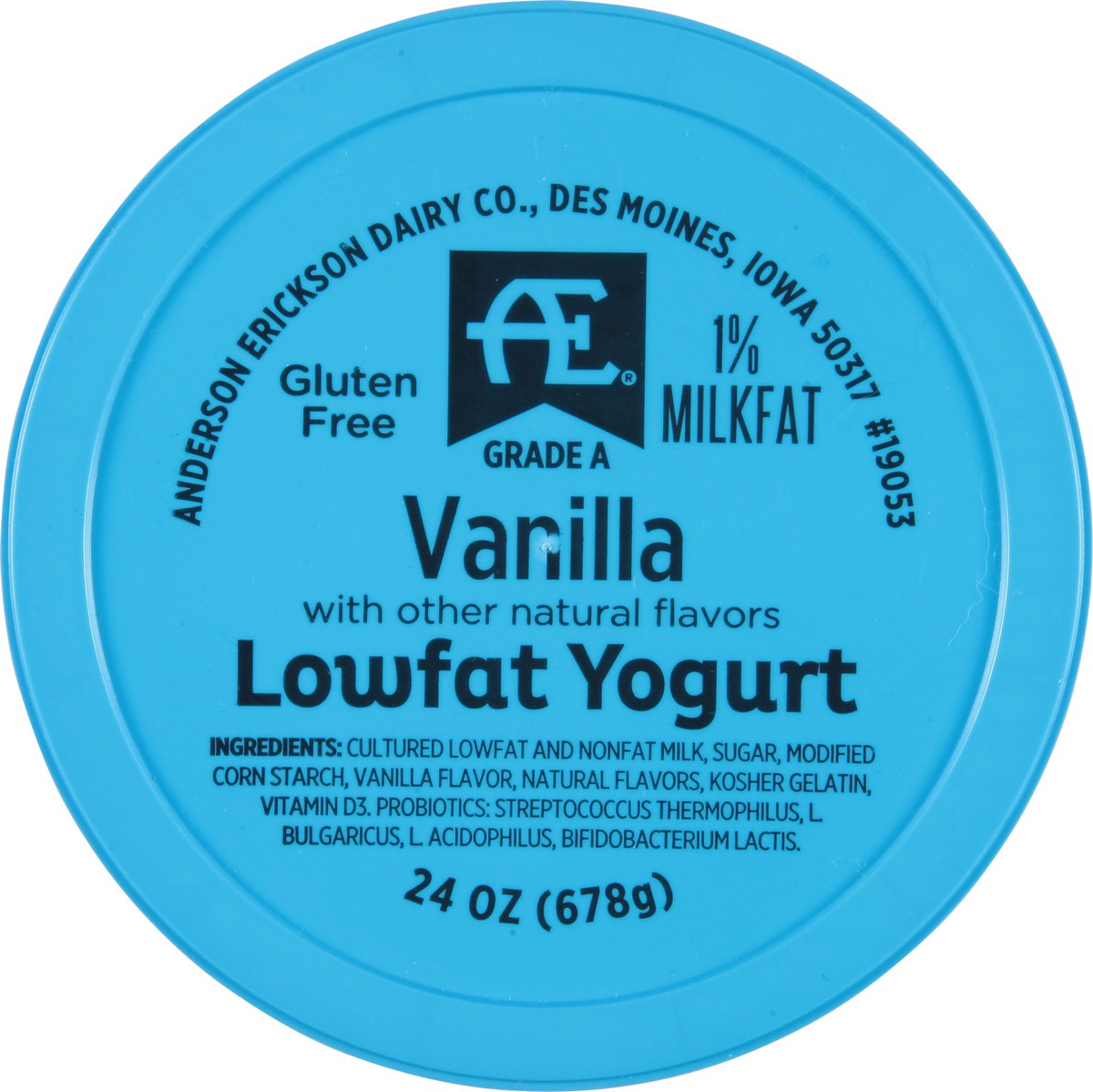 slide 3 of 11, Anderson Erickson Dairy Lowfat Vanilla Yogurt 24 oz, 24 oz