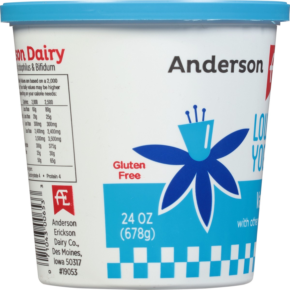 slide 7 of 11, Anderson Erickson Dairy Lowfat Vanilla Yogurt 24 oz, 24 oz