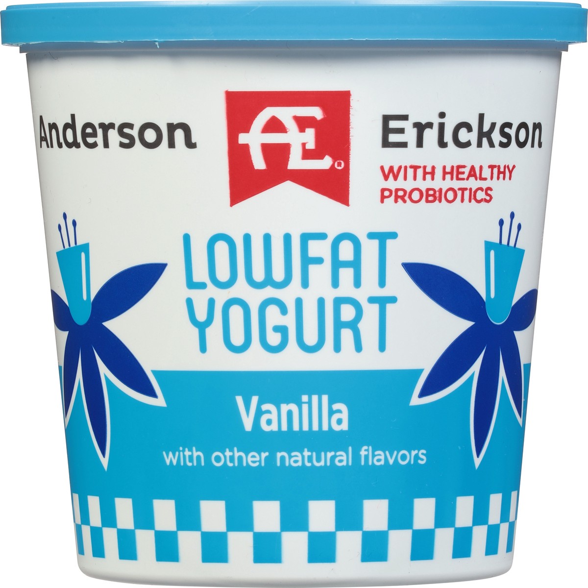 slide 11 of 11, Anderson Erickson Dairy Lowfat Vanilla Yogurt 24 oz, 24 oz
