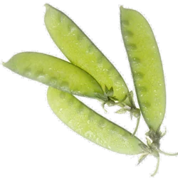 Snow Peas