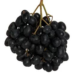 Seedless Black Grapes