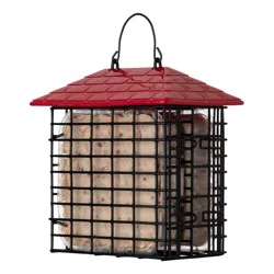 More Birds Double Suet Feeder with Weather Guard 1 ea