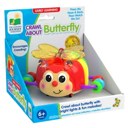 The Learning Journey Crawl About Butterfly