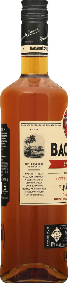 slide 6 of 9, Bacardi Genuine Spiced Rum 750 ml, 750 ml