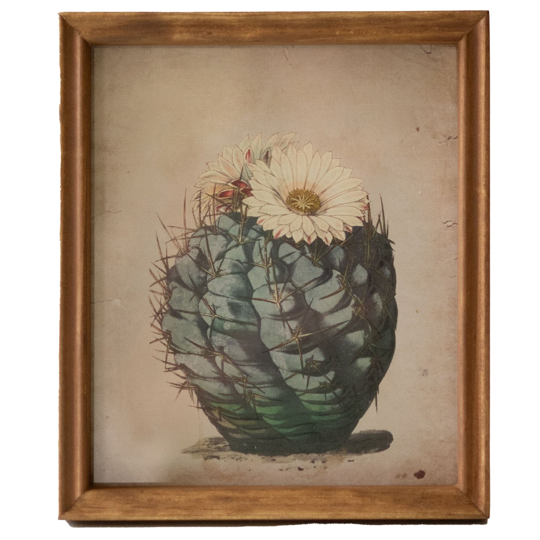 slide 1 of 1, Kalalou Daisy Flower Cactus Wall Art, 8 in x 9 in