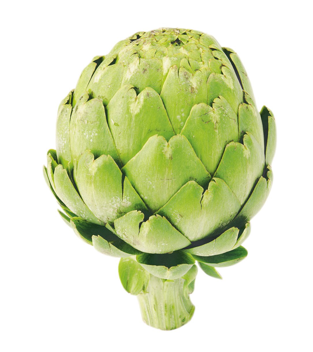 slide 1 of 1, Organic Artichokes, 1 ct