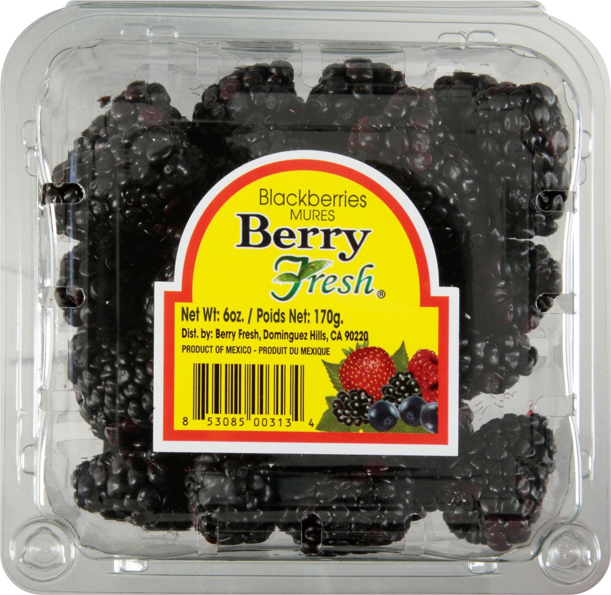 slide 3 of 9, Berry Fresh Blackberries, 1 ct