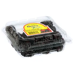 Berry Fresh Blackberries 6 oz