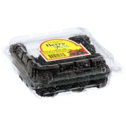 Berry Fresh Blackberries 6 oz