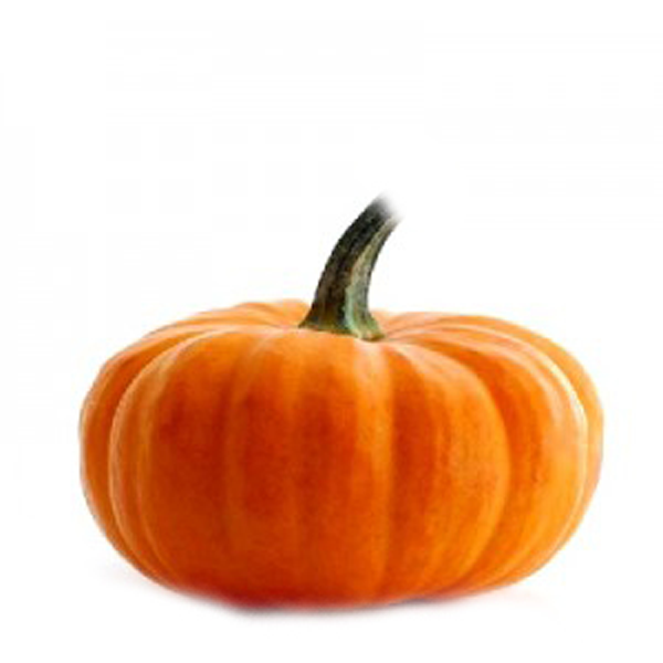 slide 1 of 1, Mini Orange Pumpkins, 1 ct