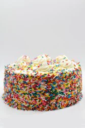 7" Double Layer Rainbow Colorblast Cake