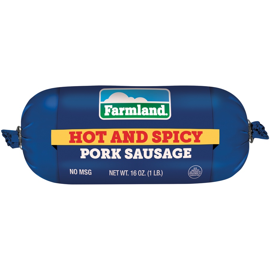 slide 1 of 1, Farmland Hot & Zesty Sausage Roll, 16 oz