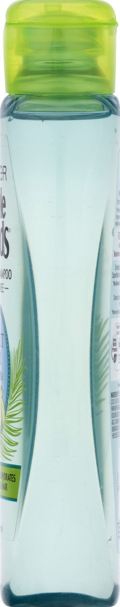 slide 4 of 11, Garnier Whole Blends Hydrating Shampoo With Coconut Water & Aloe Vera Extracts, 12.5 oz