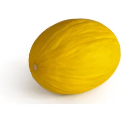 Rug Doctor Cantaloupe, Tuscan