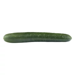 Cucumber