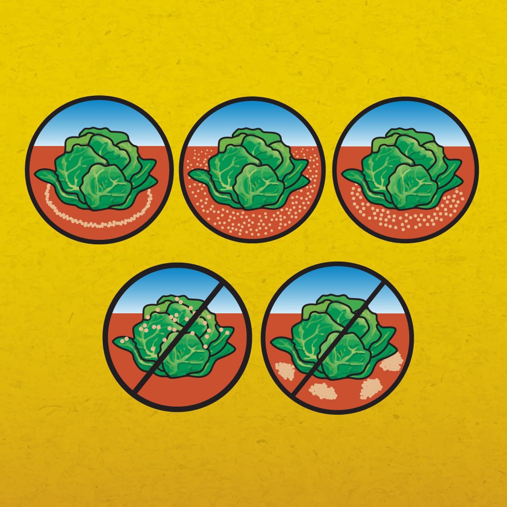 slide 3 of 6, Corry's Slug And Snail Killer - 3.5 Pound, 3.5 lb