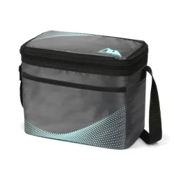 Arctic Zone Core Lunchbox Caddy, GREY/MINT