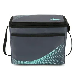 Arctic Zone Core Lunchbox Caddy, Grey/Mint