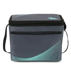 Arctic Zone Core Lunchbox Caddy, Grey/Mint