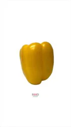 Holland Yellow Pepper