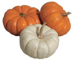 Mini Pumpkin up to 1 Lb