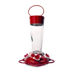 Pennington Pride Glass Hummingbird Feeder 10 Ounces