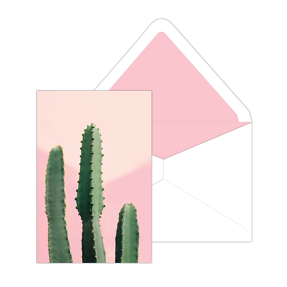 slide 1 of 1, Southworth Social Stationery Set, 4'' X 6'', Dessert Cactus, Box Of 8, 8 ct