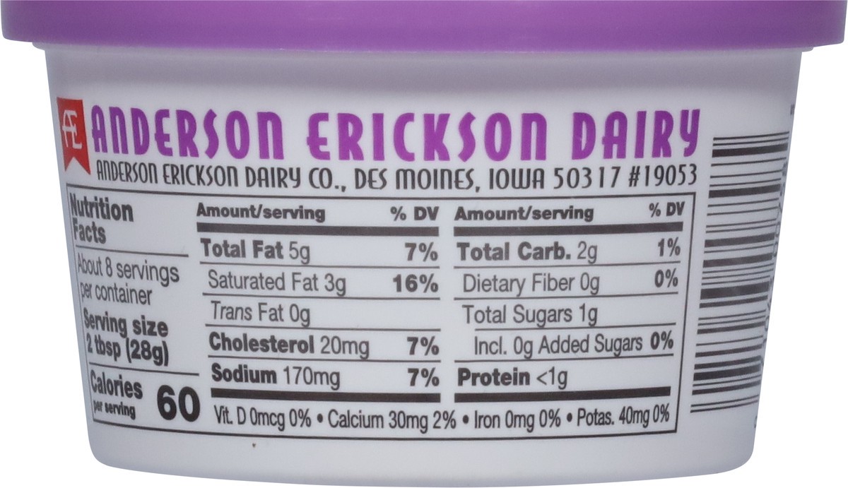 slide 2 of 9, Anderson Erickson Dairy French Onion Sour Cream Dip 8 oz, 8 oz