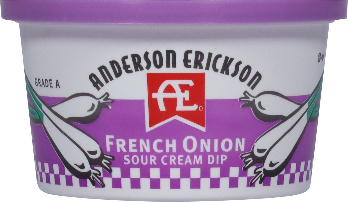 slide 6 of 9, Anderson Erickson Dairy French Onion Sour Cream Dip 8 oz, 8 oz