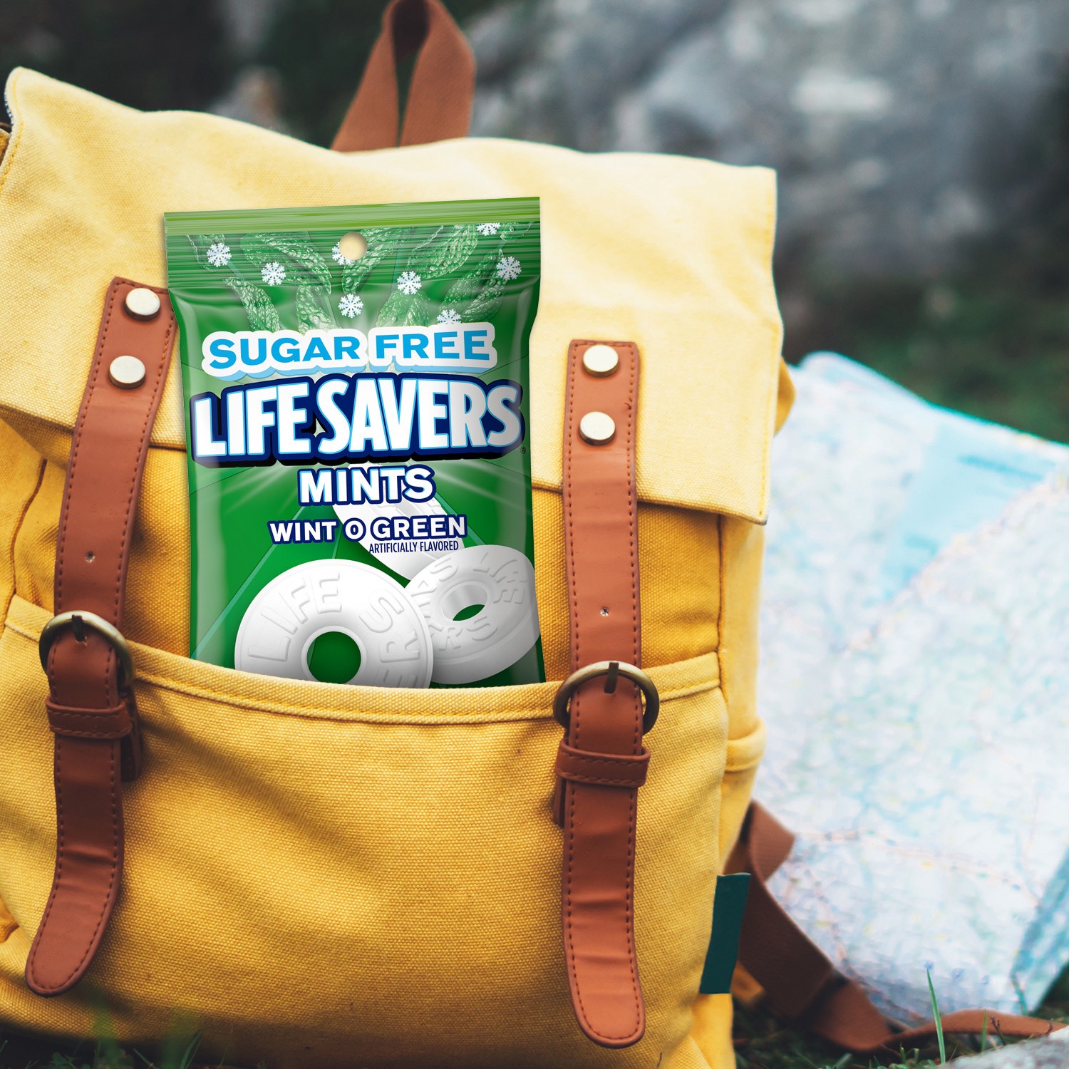 slide 7 of 8, LIFE SAVERS Wint-O-Green Sugar Free Breath Mints Hard Candy, 2.75 oz Bag, 2.75 oz