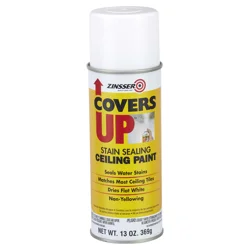 Zinsser Covers Up Ceiling Paint & Primer In One Spray - White