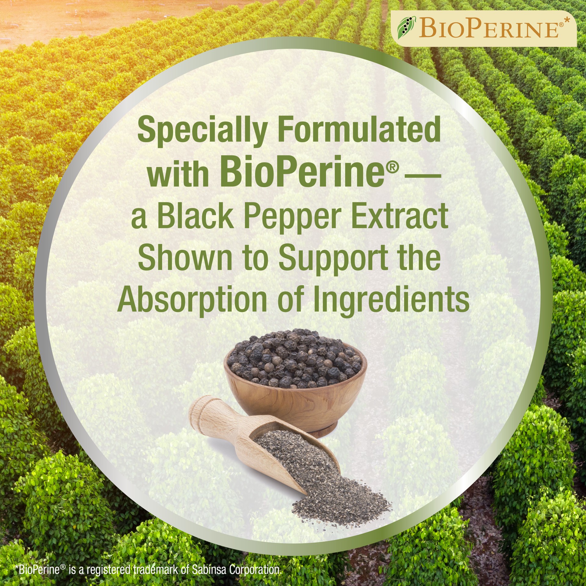 slide 4 of 10, Four Paws Healthy Promise Calming Chews for Dogs 90 Count, 90 ct